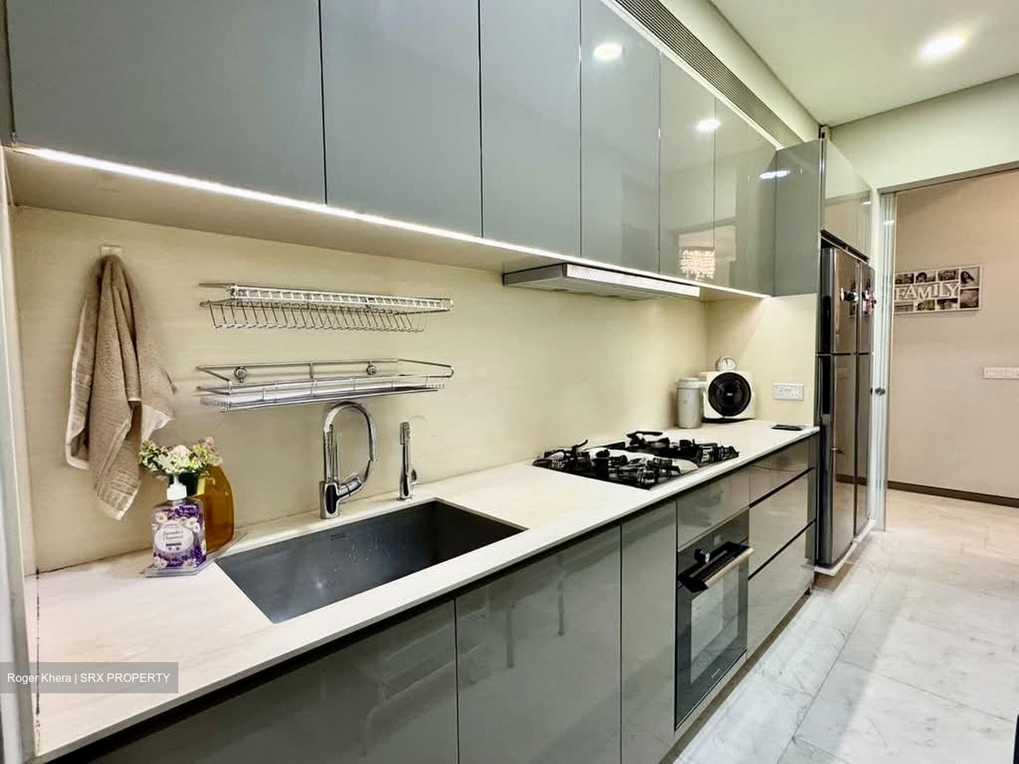 Robin Residences (D10), Condominium #559735891
